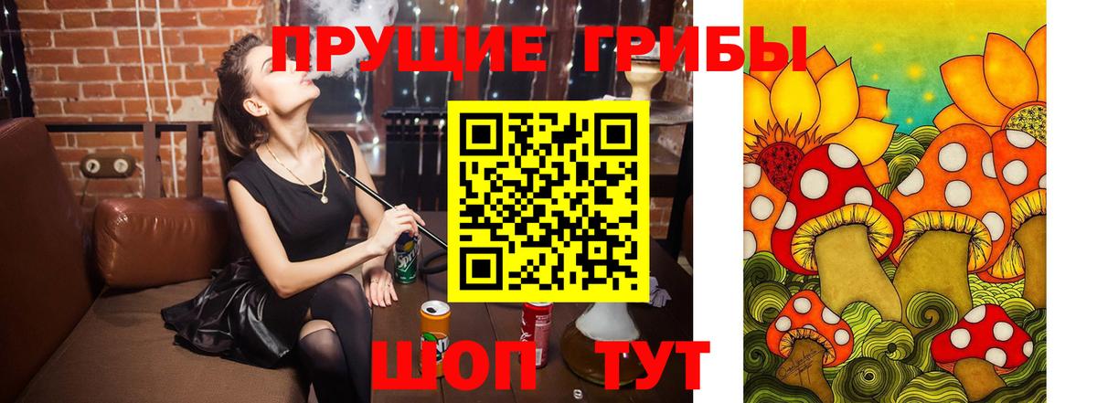 Галлюциногенные грибы Psilocybine cubensis Лесной
